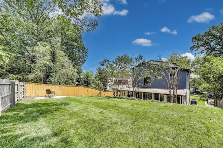 Backyard Overview — 1739 Shepherd St NW, Washington, DC