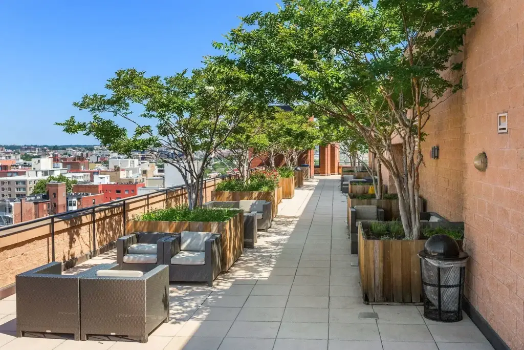 Ten Ten Mass - Rooftop Terrace Seating