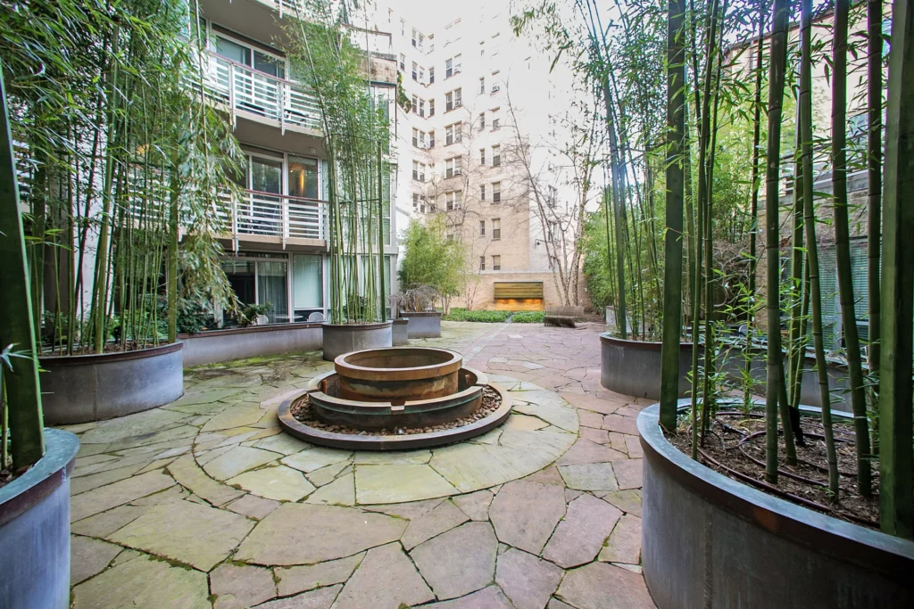 Solo Piazza Bamboo Courtyard – 1300 13th St NW, Washington DC