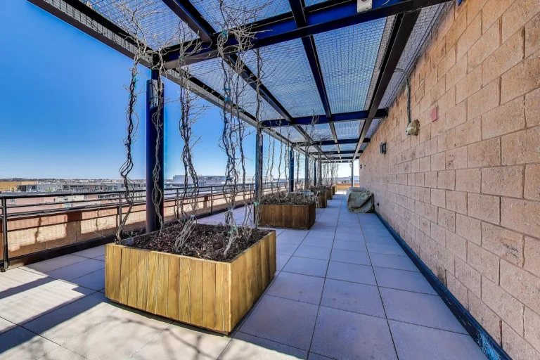 Rooftop Terrace, Pergola Walkway — Ten Ten Mass, 1010 Massachusetts Ave NW, Washington, DC