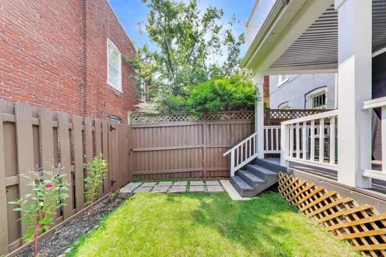 Backyard Patio — 419 12th St NE, Washington, DC