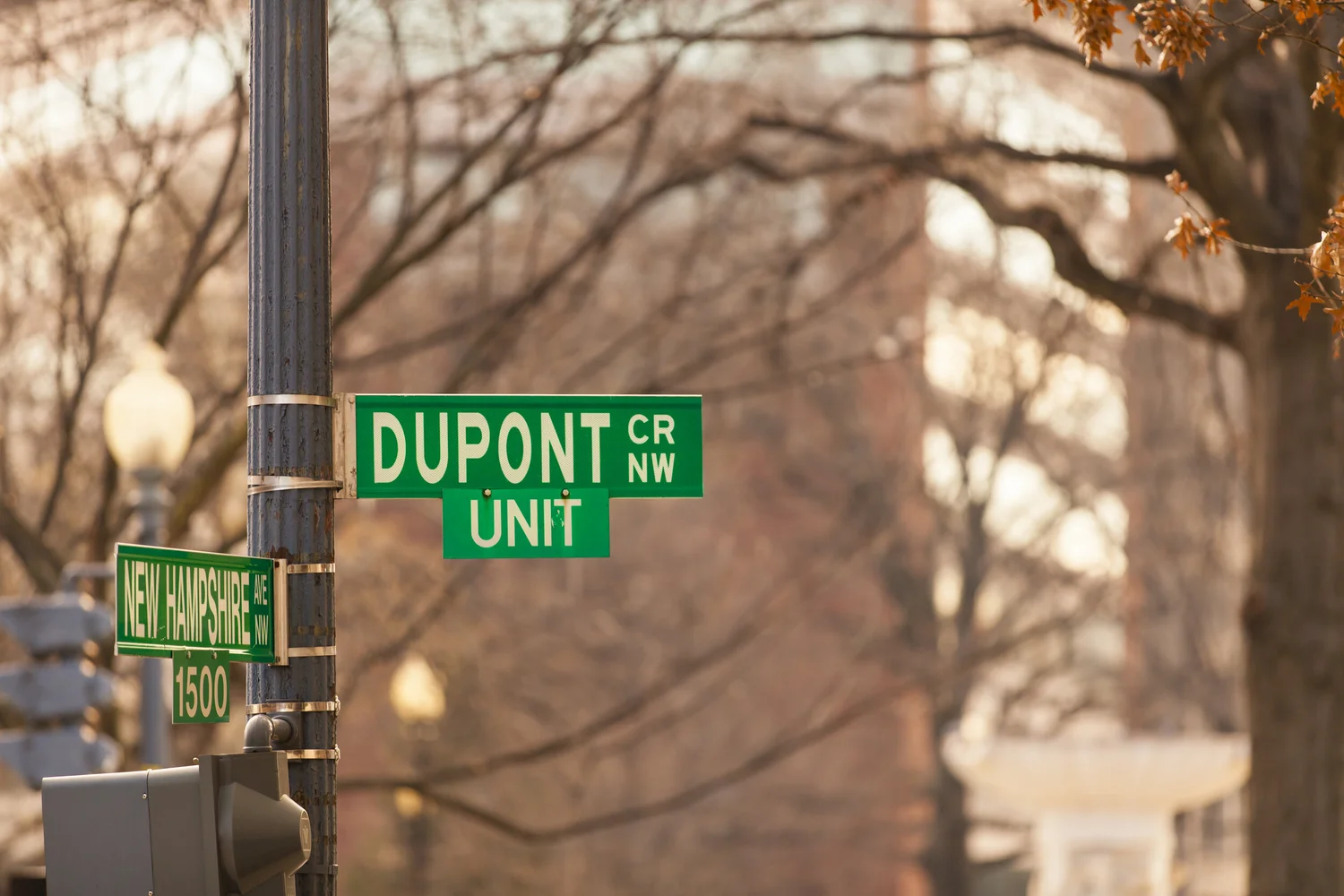 Victorian rowhouses and a tree-lined street in Dupont Circle, Washington, DC
