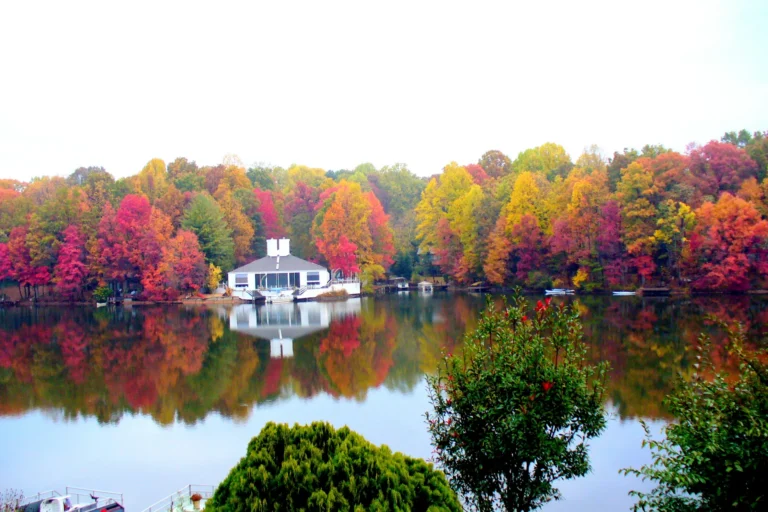 Reston, Northern Virginia