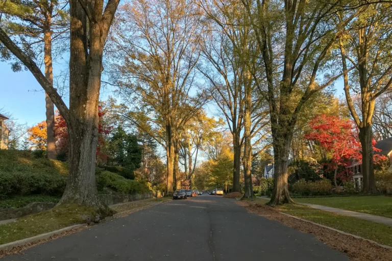 Spring Valley, Washington, DC