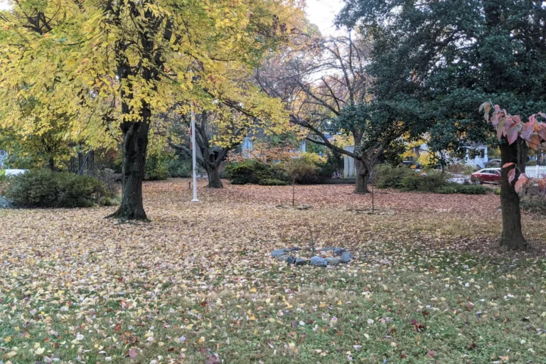 Takoma Park MD, Maryland