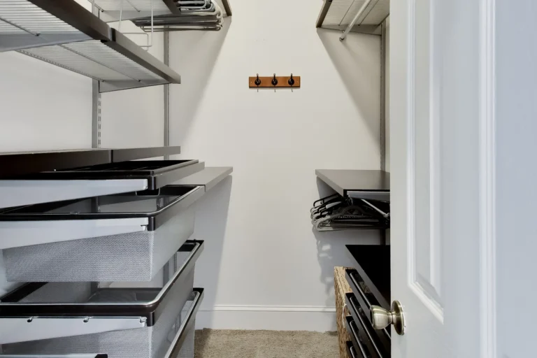 Primary Bedroom Closets – 4213 8th St NW, Washington DC