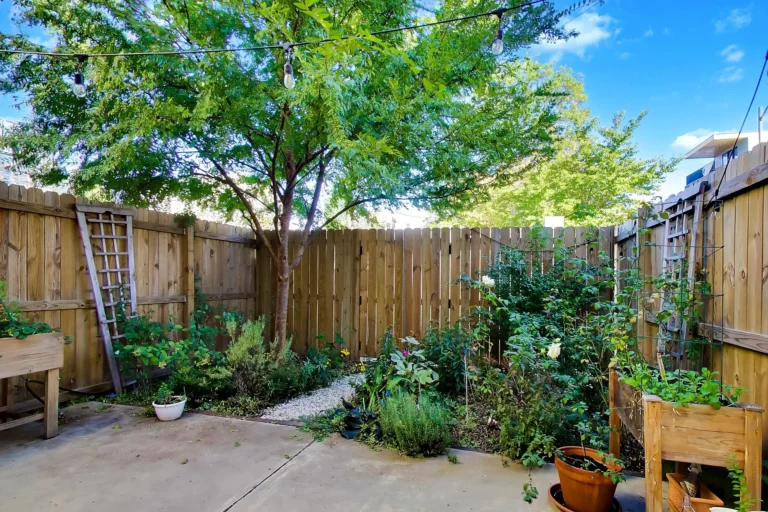 4213-8th-st-nw-washington-dc-42-backyard-garden